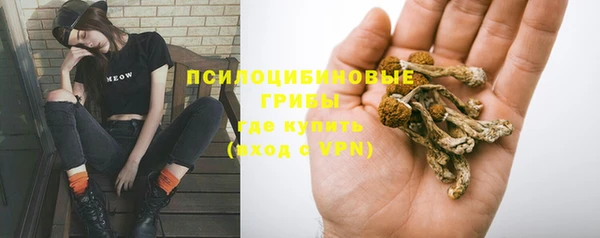 мет Богородицк