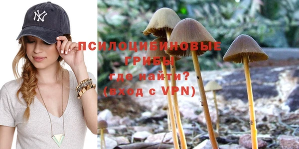 spice Белокуриха